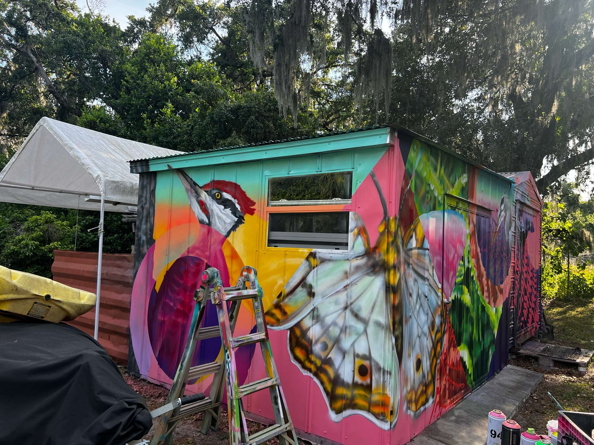 Back Yard Shed Mural